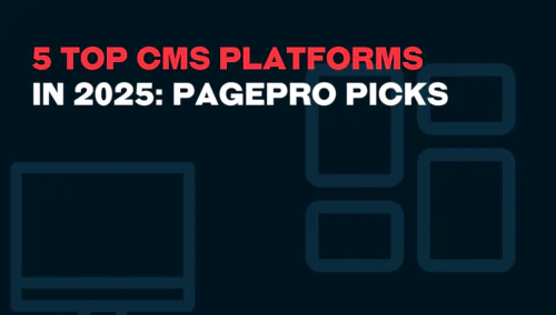 5 Best CMS Platforms in 2025: Pagepro Top Picks