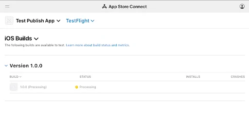 approving the app in testflight