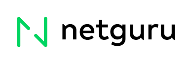 Netguru logo with a stylised green N on the left and the word netguru in bold black lowercase letters to the right. The background is white.